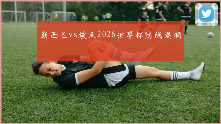 新西兰vs埃及2026世界杯防线漏洞
