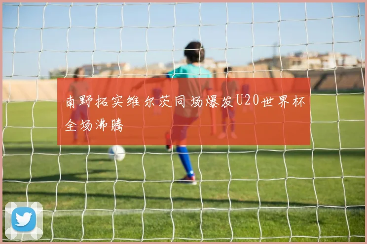 南野拓实维尔茨同场爆发U20世界杯全场沸腾