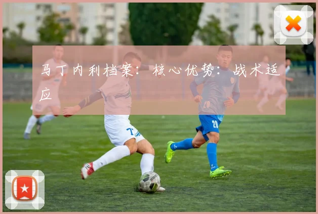 马丁内利档案：核心优势：战术适应