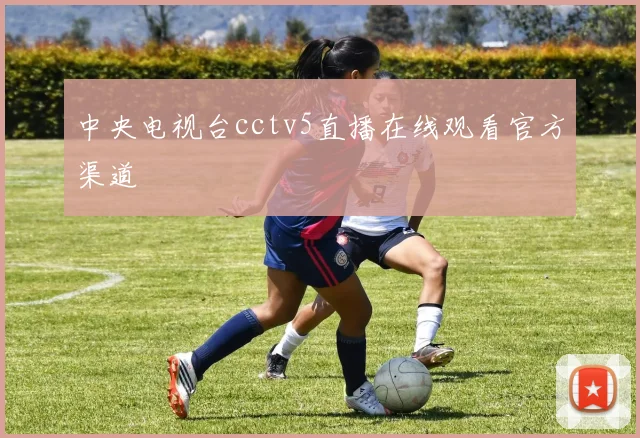 中央电视台cctv5直播在线观看官方渠道