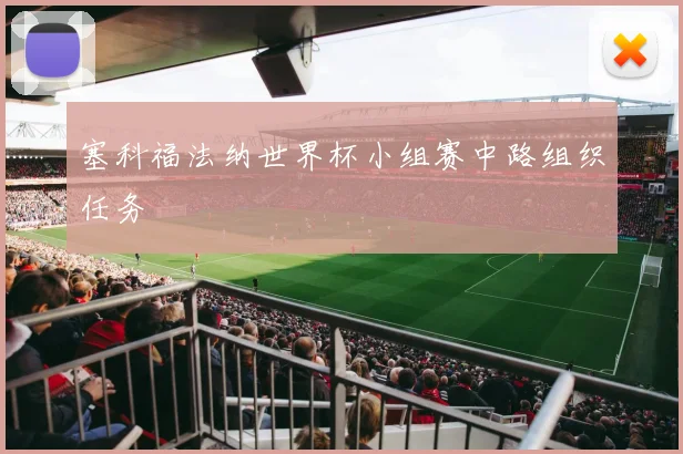 塞科福法纳世界杯小组赛中路组织任务
