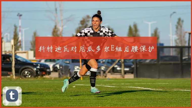 科特迪瓦对厄瓜多尔E组后腰保护