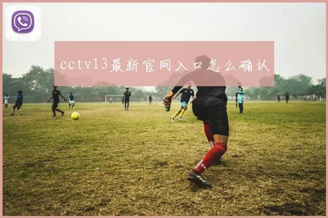 cctv13最新官网入口怎么确认